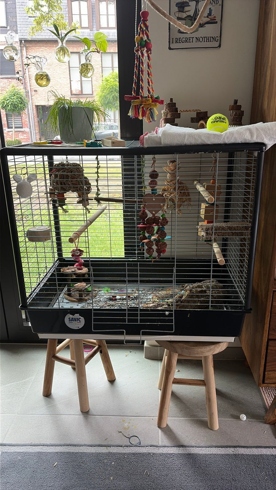 Vogelkooi, Enlèvement, Comme neuf, Cage à oiseaux
