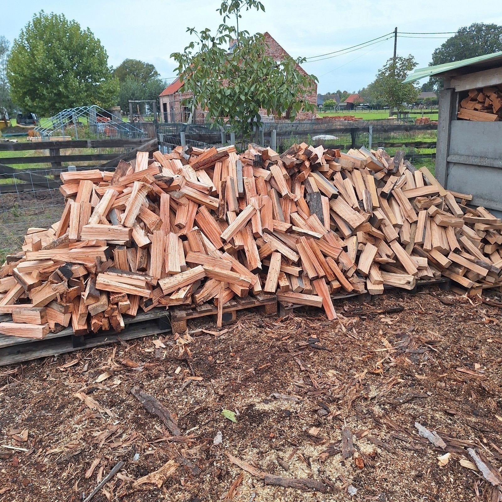 brandhout eik levering inbegrepen, Verzenden, Eikenhout, Blokken