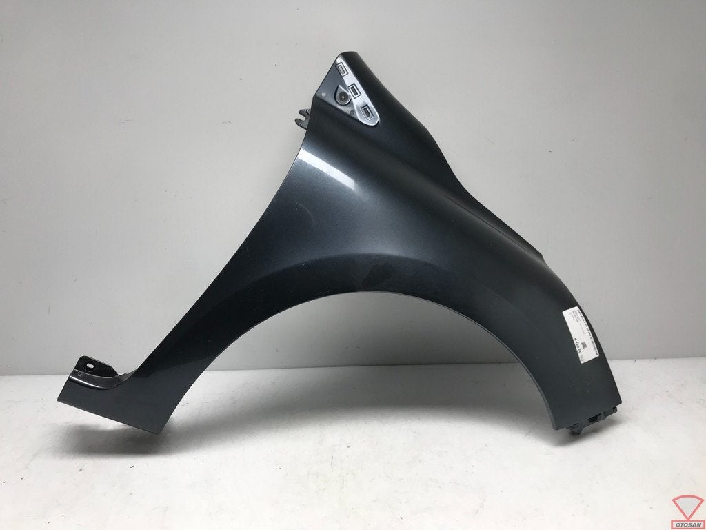 Renault IV 2014+ Zijscherm Spatbord Rechts Voor Origineel!, Renault Group, Gebruikt, Contact.group@renault.com, Renault