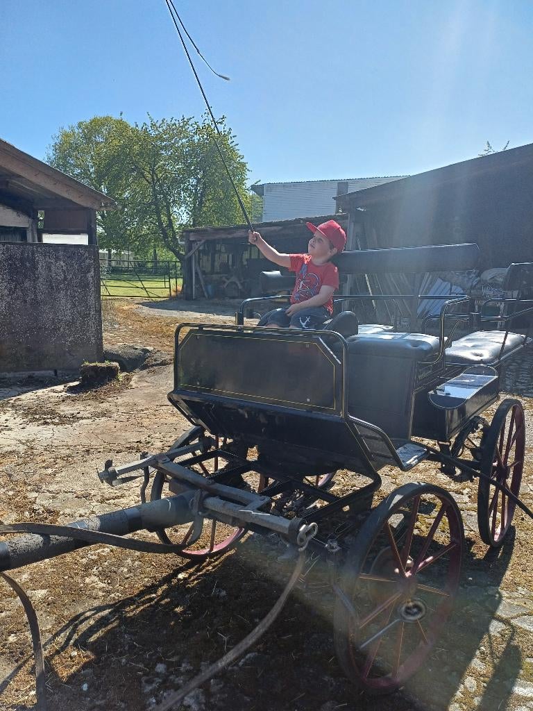 paardenkoets, Utilisé