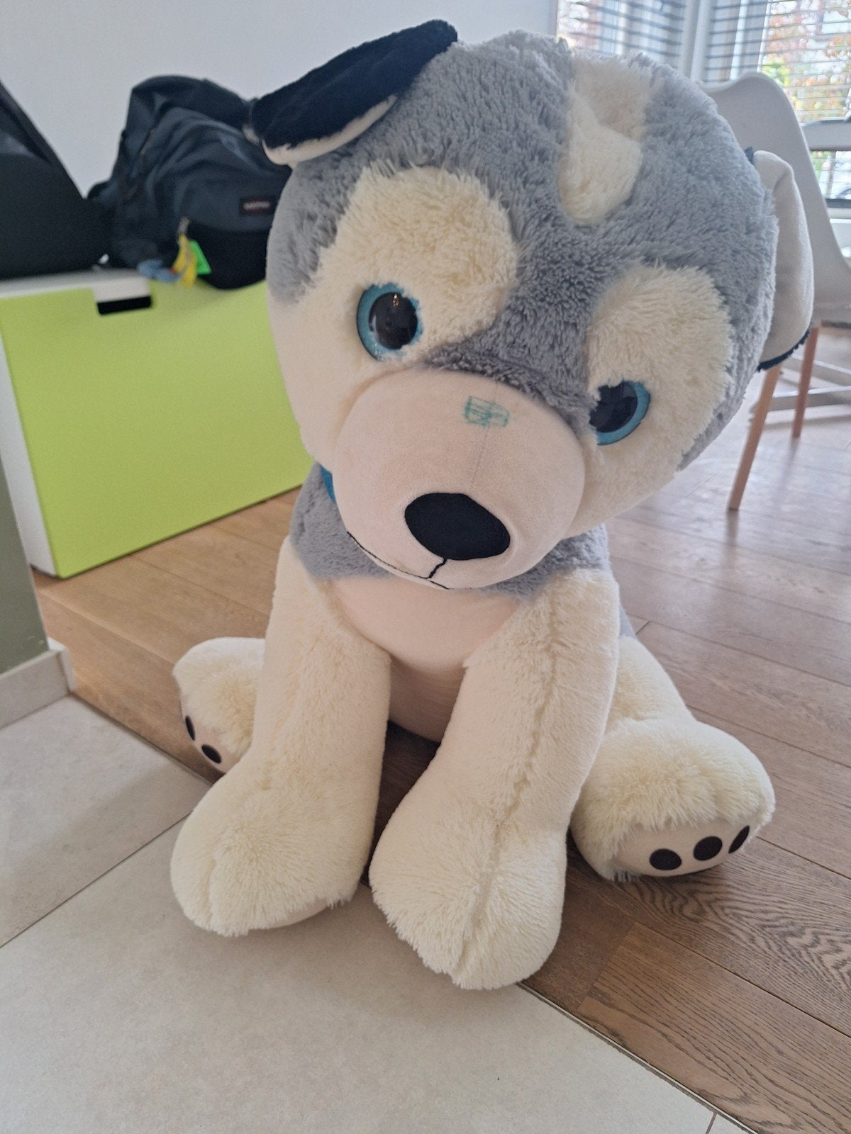 knuffel hond gratis, heeft beetje groen op neus, Chien, Utilisé, Rembourrage en billes, Vert