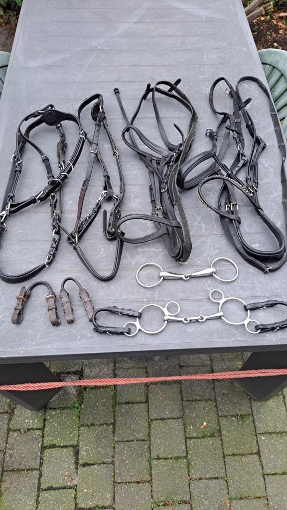 Kwalitatief Tweedehands Pony Materiaal, Enlèvement, Utilisé, Obstacle