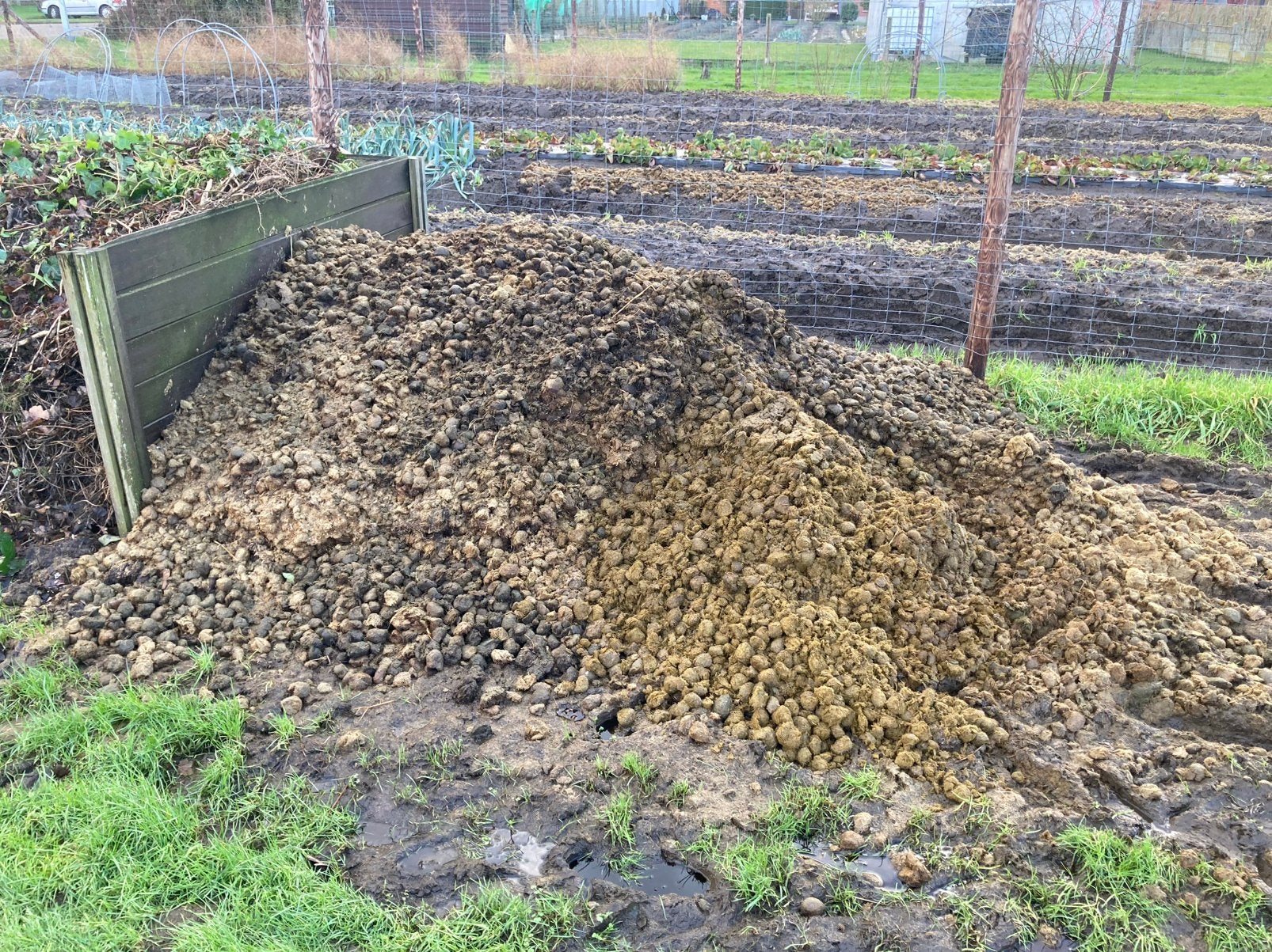 Paardenmest (zuiver), Tuin en Terras, Ophalen, Mest