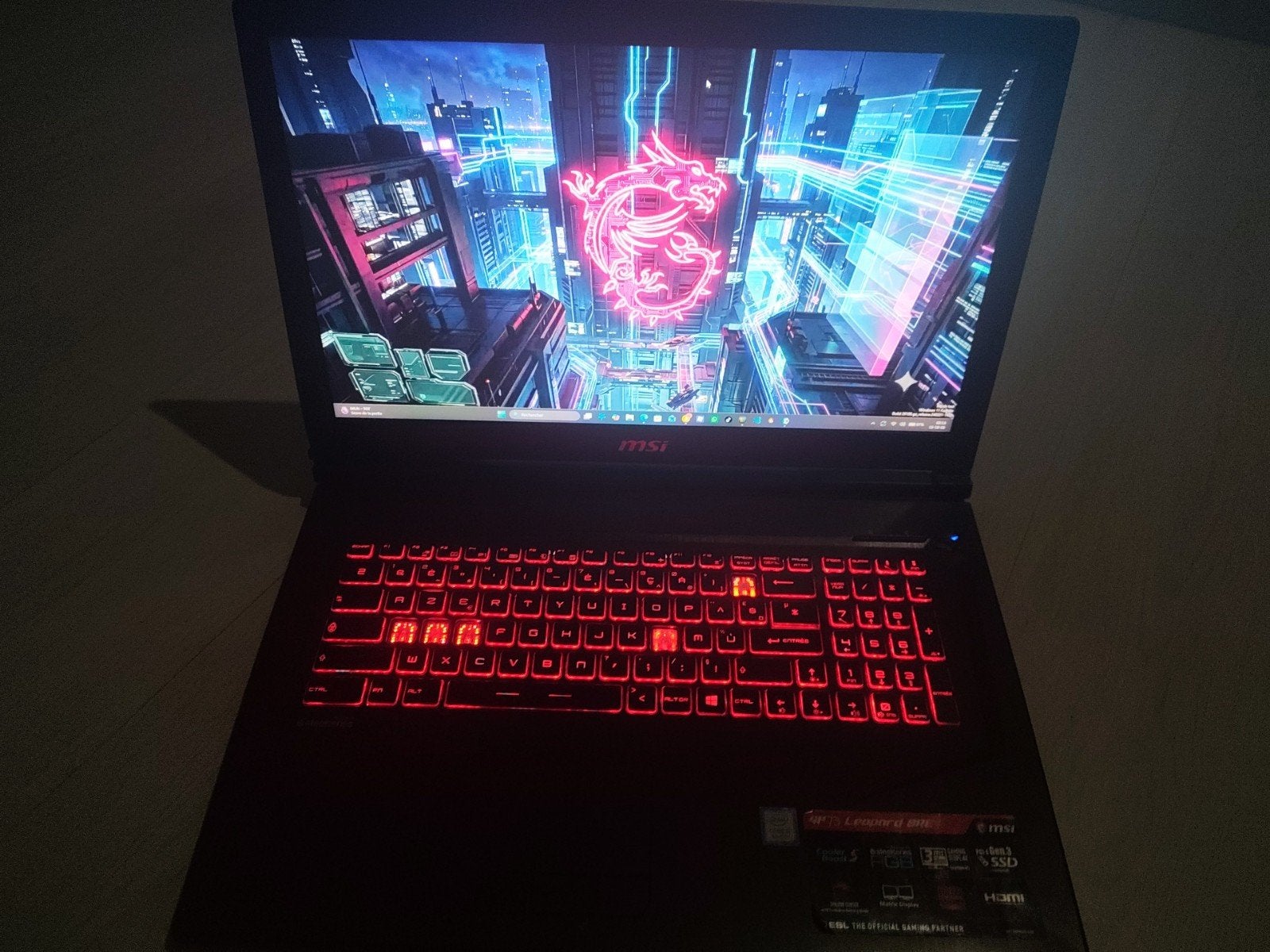 MSI GP73 Leopard 8RE, Enlèvement, SSD