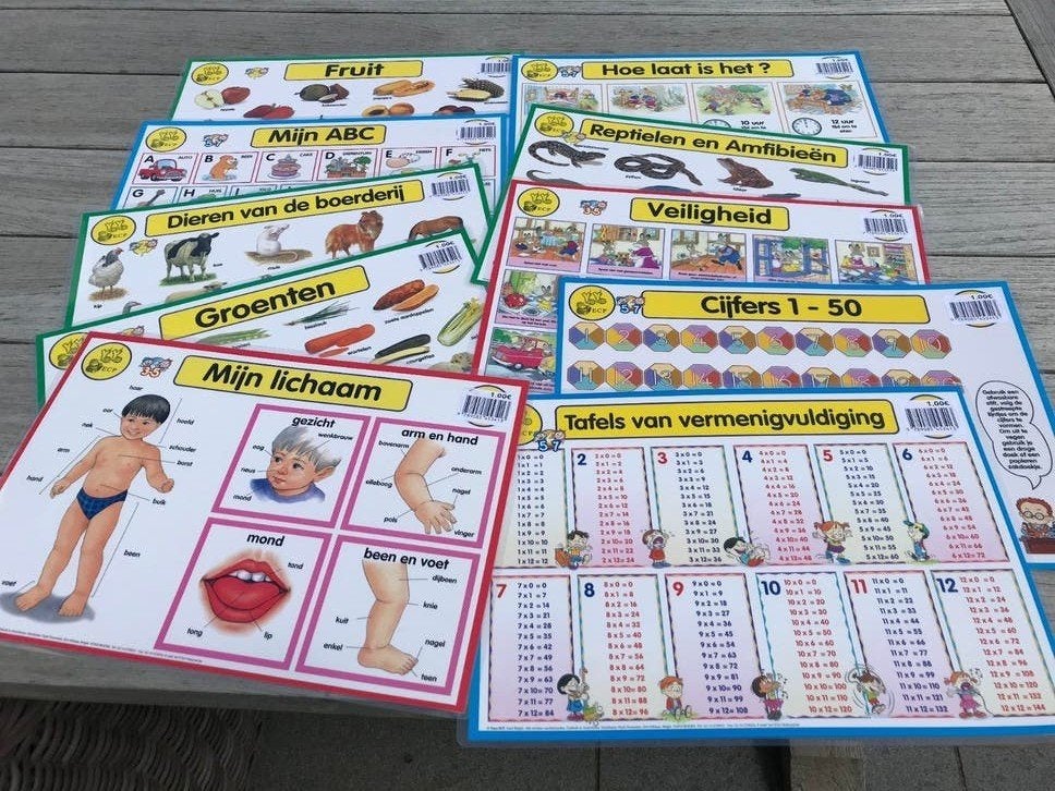 geplastificeerde fiches nieuw, Ophalen of Verzenden