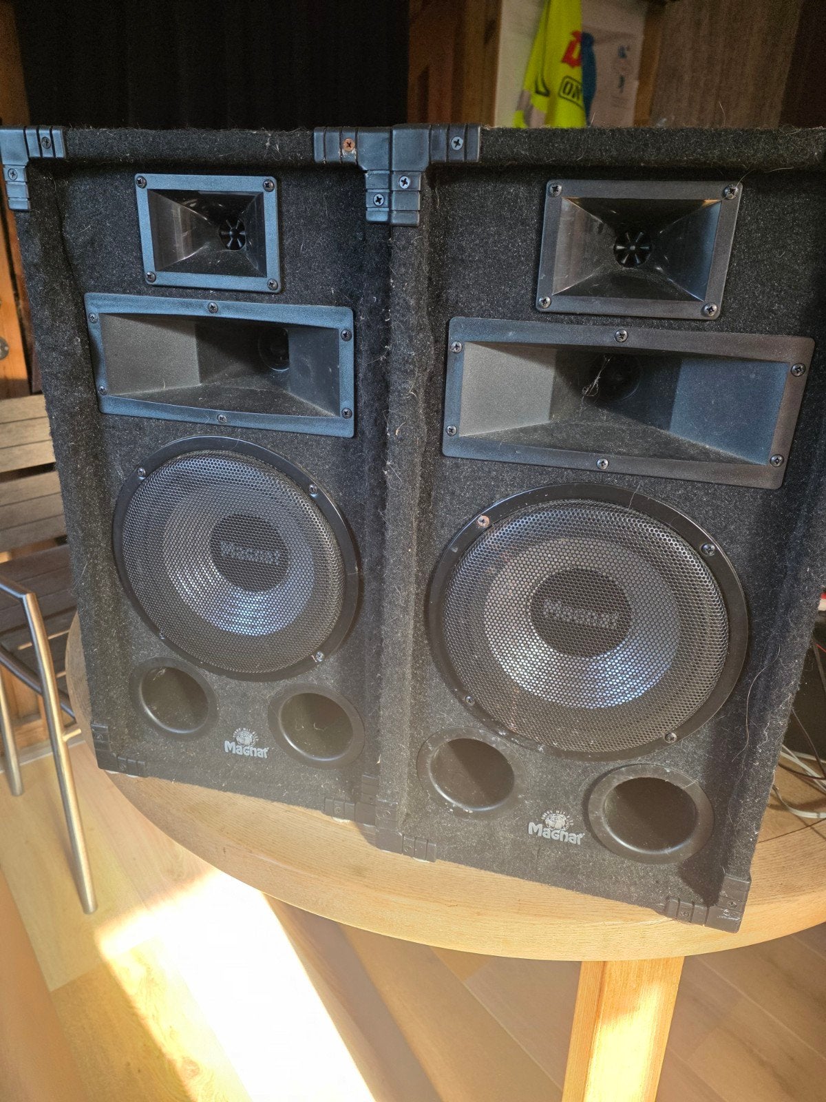 2x Magnat Soundforce 1200 Boxen - Krachtig Geluid, Enlèvement, Magnat