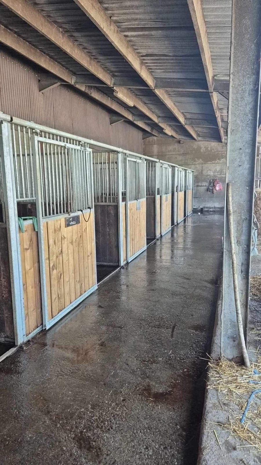 Box/prairie pour chevaux, Animaux & Accessoires, Pâturage, 4 chevaux ou poneys ou plus
