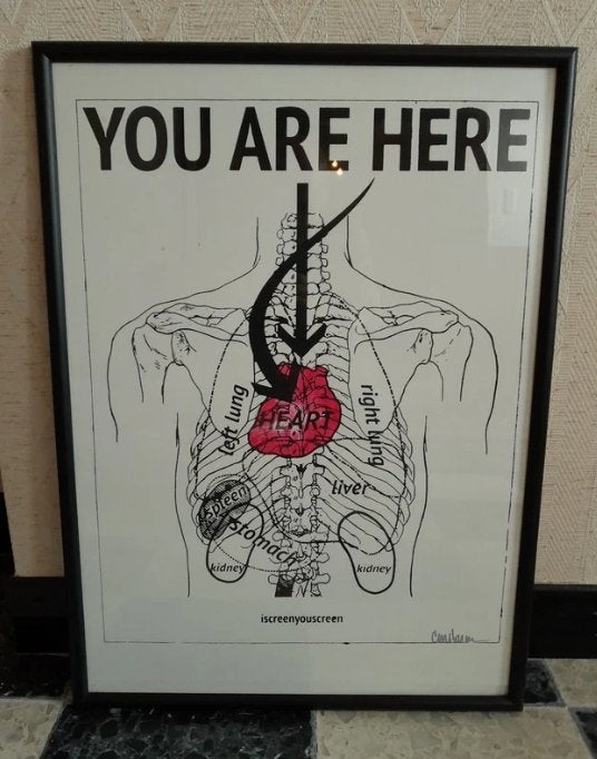 Affiche d'anatomie You Are Here encadrée, 53 x 73 cm, Collections, Posters & Affiches, Enlèvement ou Envoi, Comme neuf