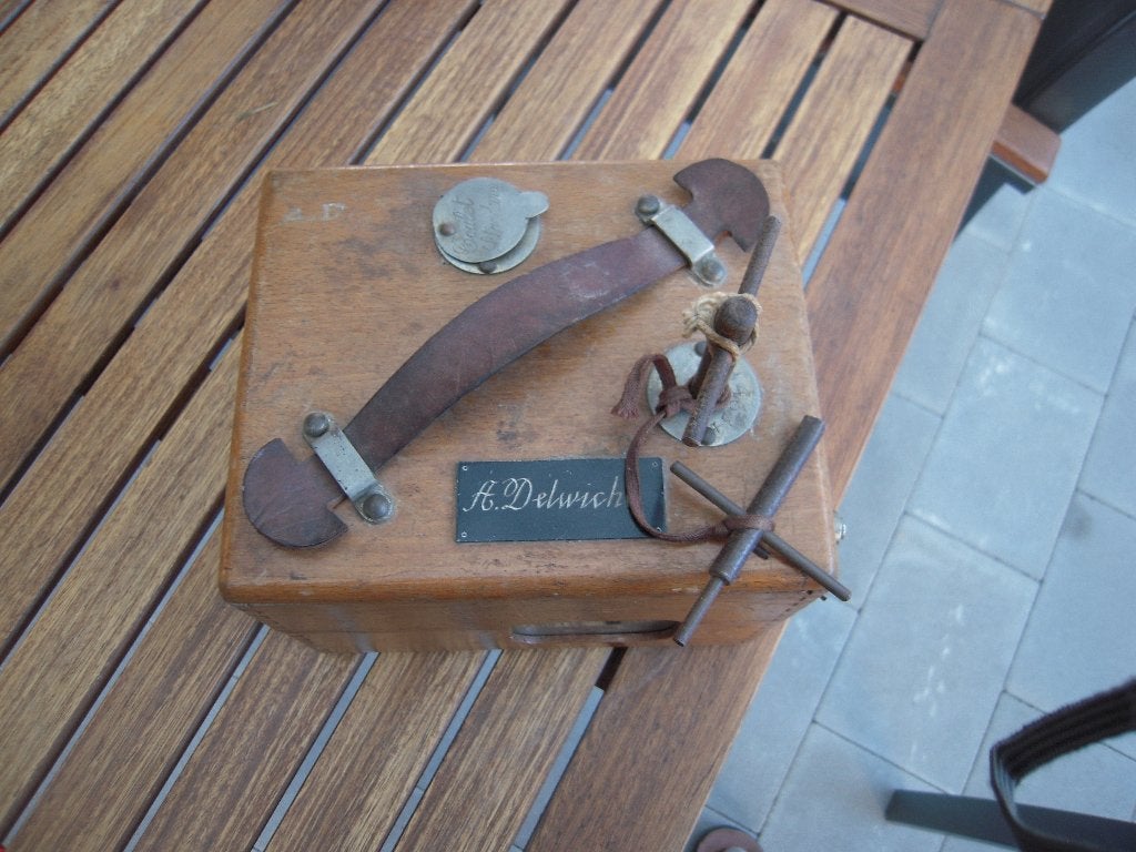 duiven sport, Autres espèces