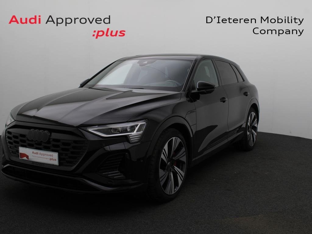 Audi Q8 e-tron Q8 e-Tron 106 kWh 55 Quattro S line, Auto's, Audi, Q8, ABS, Airbags, Airconditioning, Boordcomputer, Cruise Control