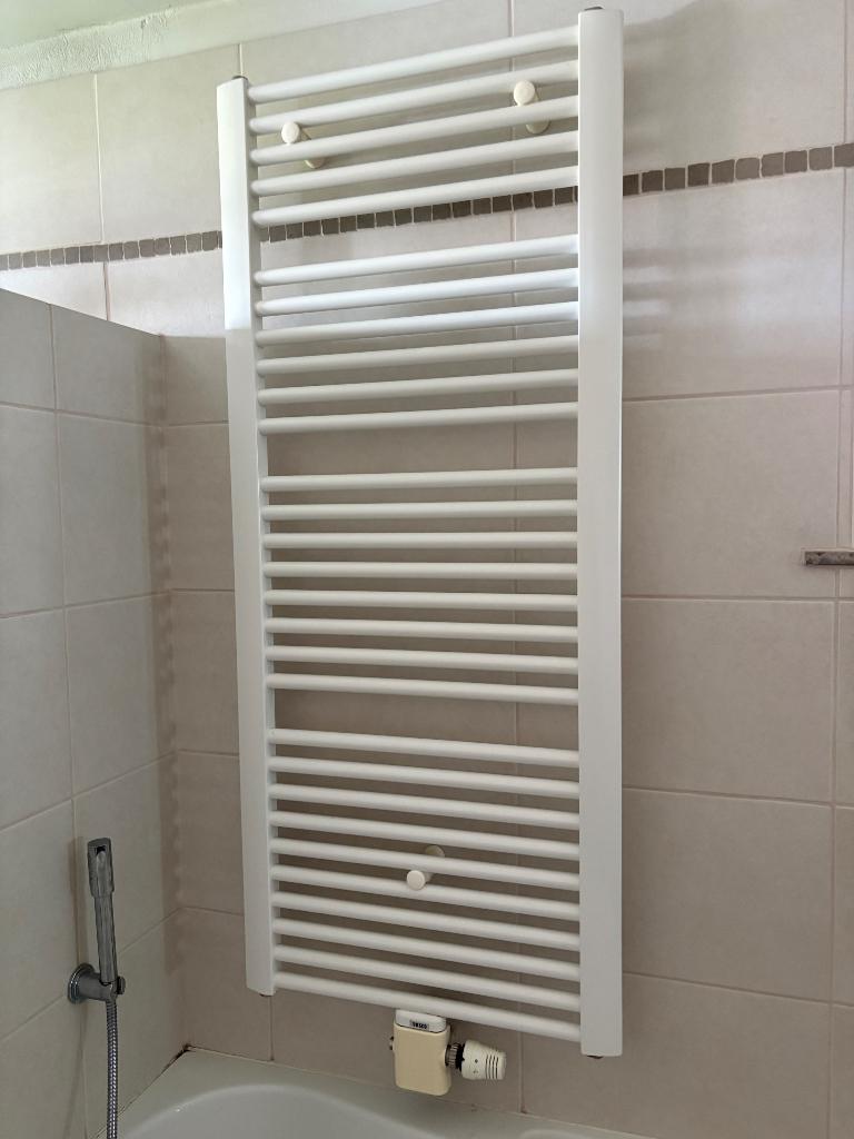 Sier radiator badkamer, Doe-het-zelf en Bouw, Verwarming en Radiatoren, Ophalen, 30 tot 80 cm, Gebruikt, Radiator