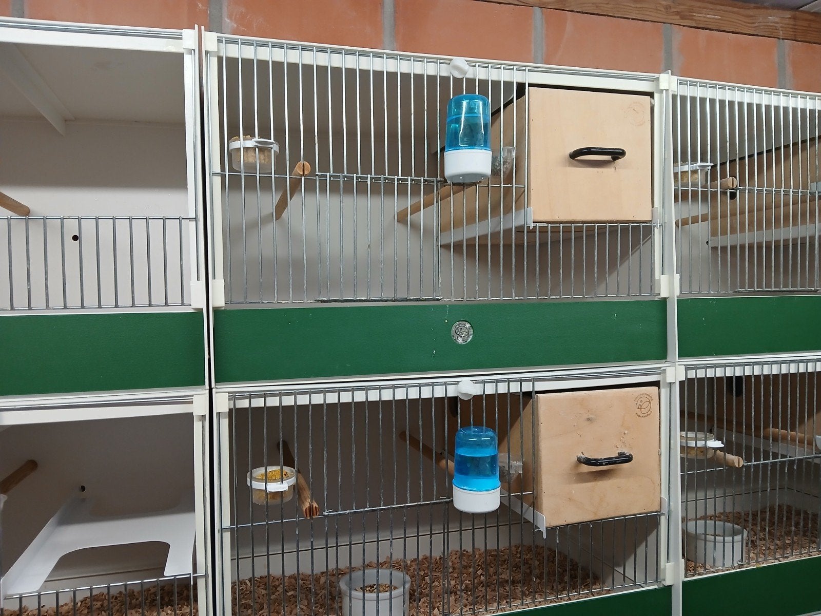 cages d'élevage en PVC Sheesakker, Animaux & Accessoires, Enlèvement, Synthétique