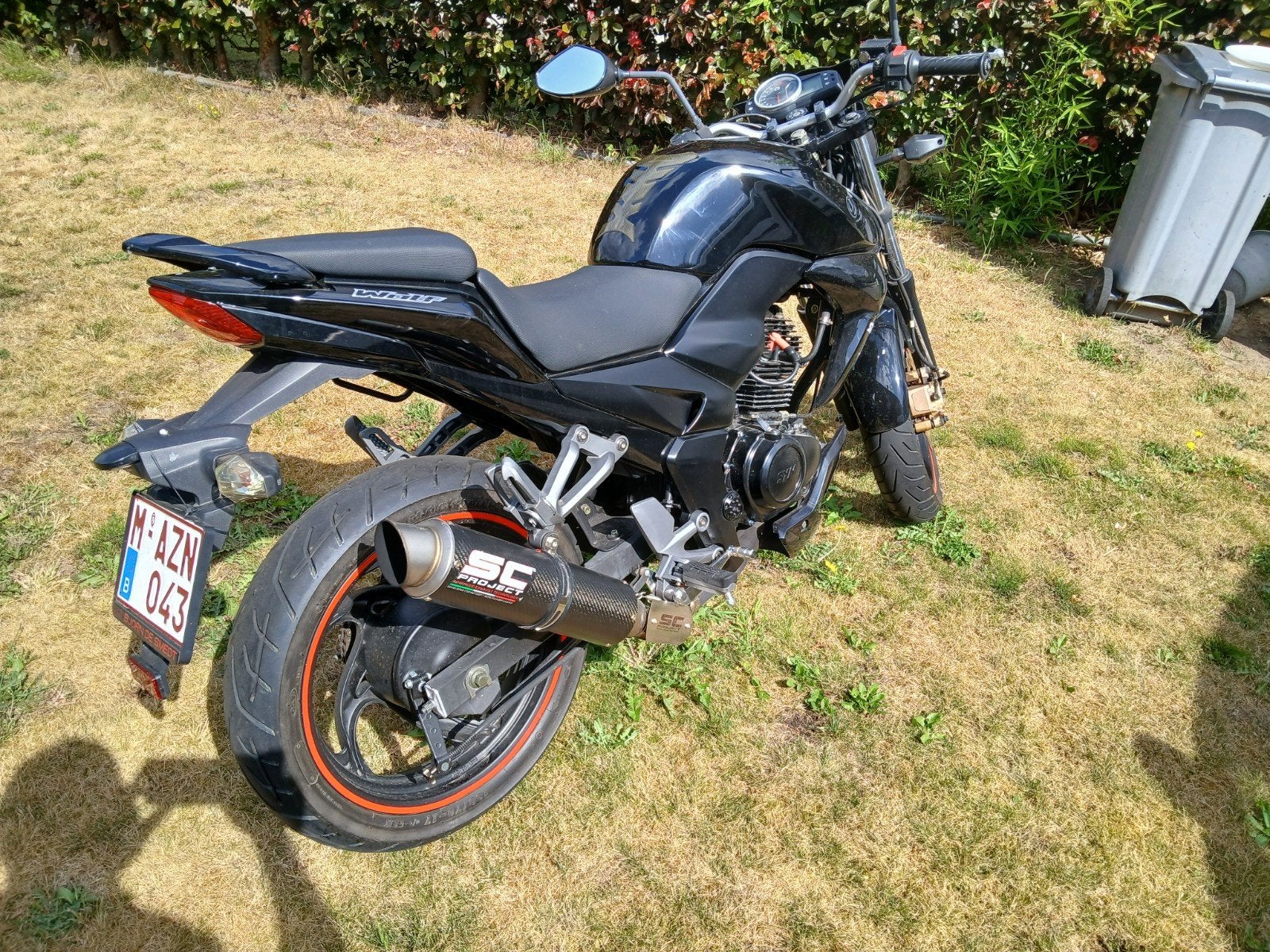 Wolf 125cc avec échappement SC Projects, Motos, Motos | Marques Autre, Particulier