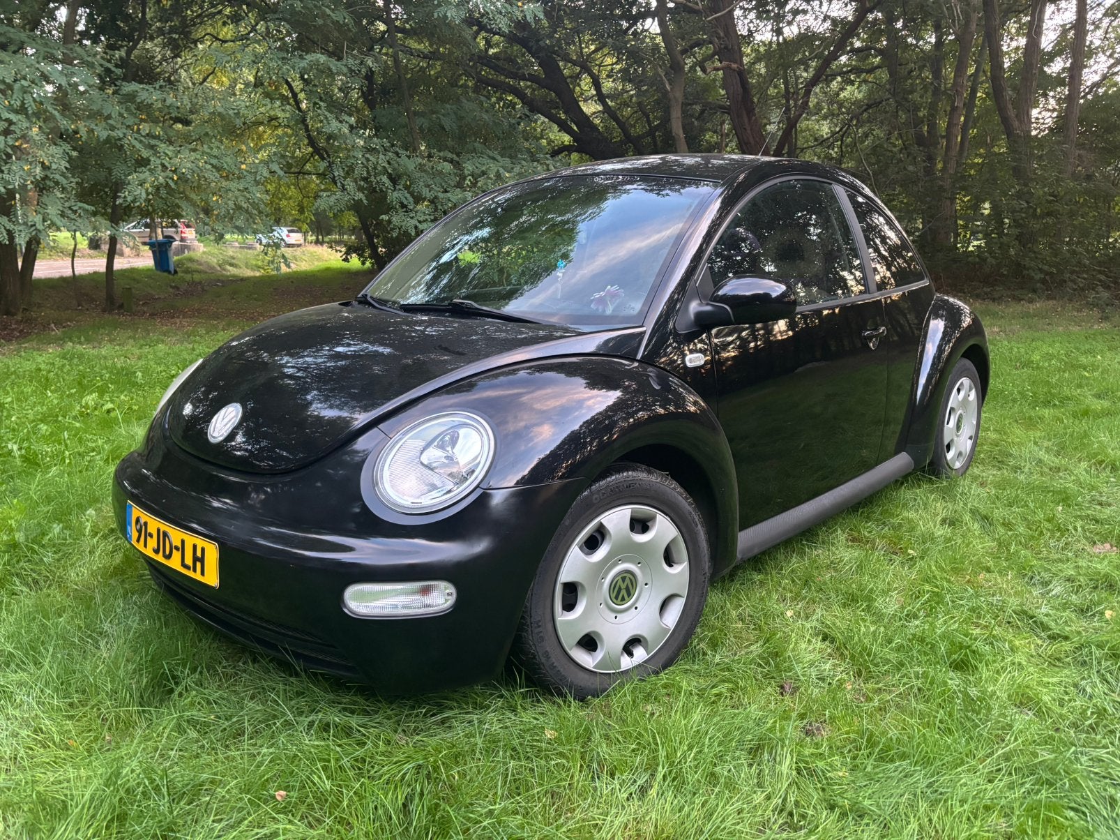 VW New Beetle 2.0 automatique, Cuir, Beige, Carnet d'entretien, Coccinelle