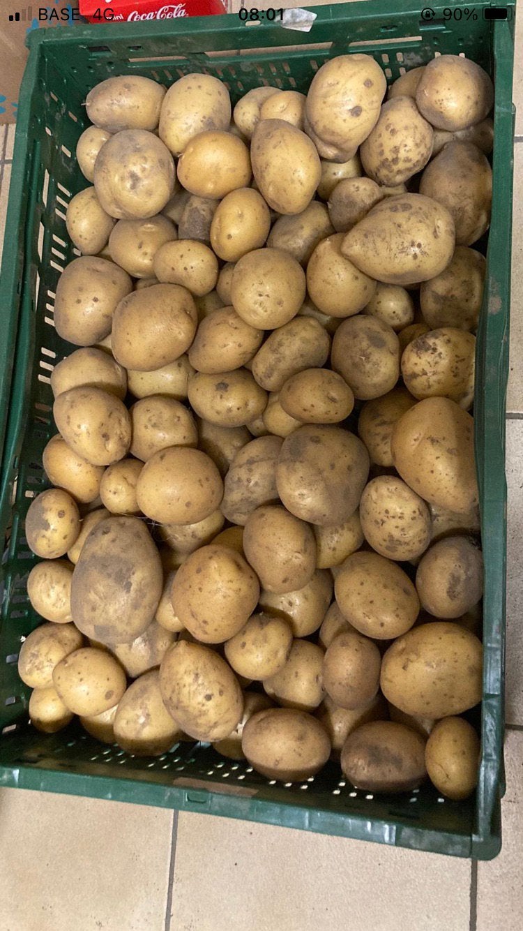 Nieuwe aardappelen te koop Frieslander, Enlèvement ou Envoi