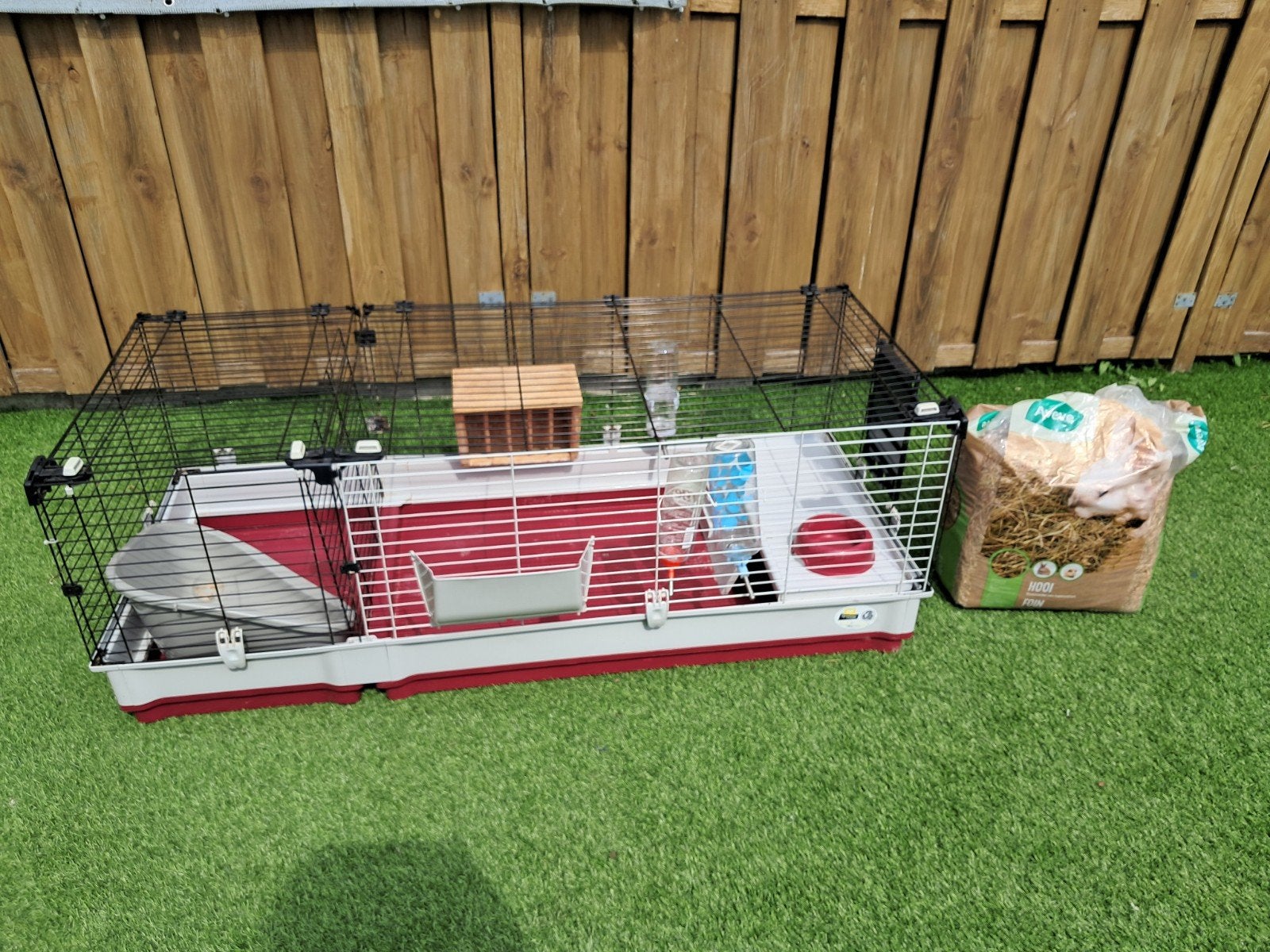 A.A., Animaux & Accessoires, Lapins