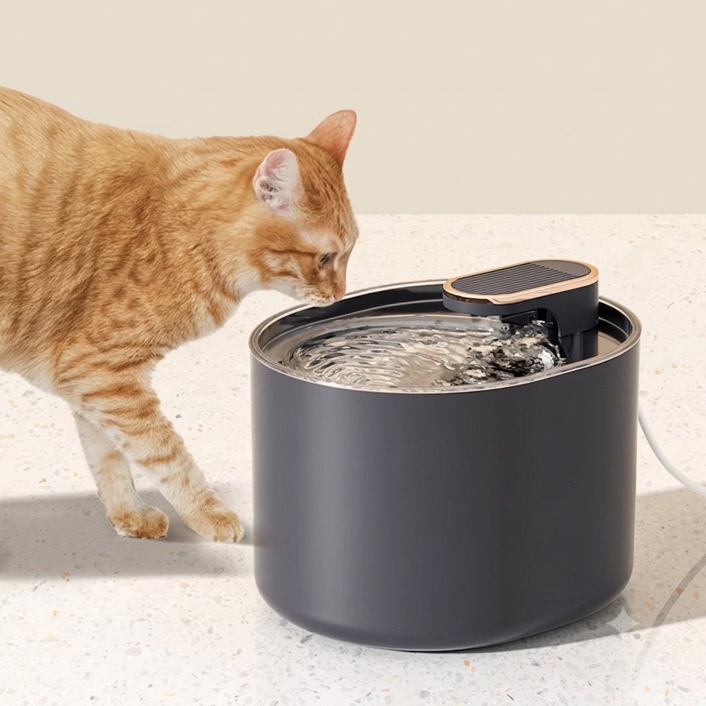 Fontaine a eau pour chat, Enlèvement ou Envoi, Comme neuf