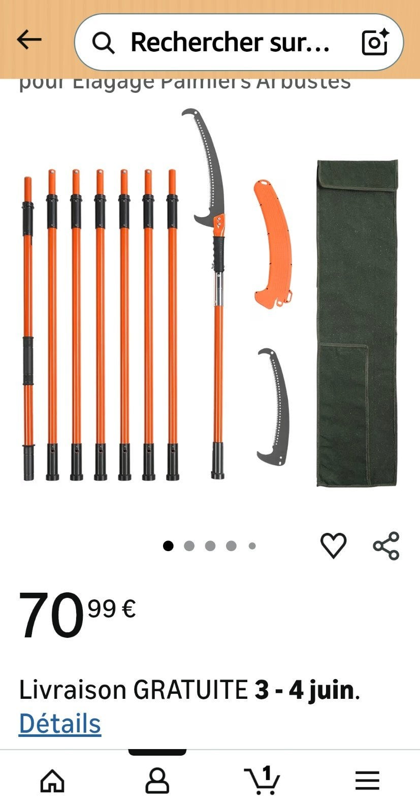 Scie  à  Élaguer Télescopique VEVOR, Enlèvement