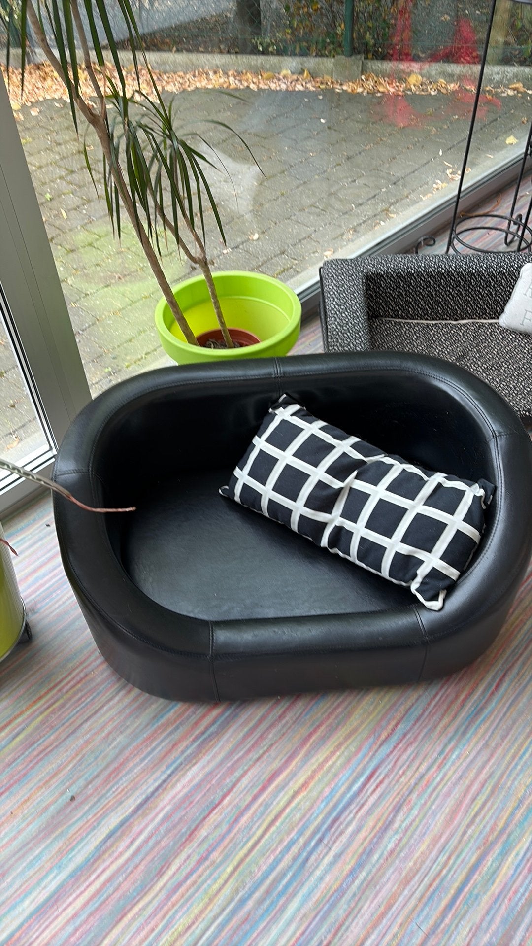 Honden zetel, Ophalen, Zo goed als nieuw