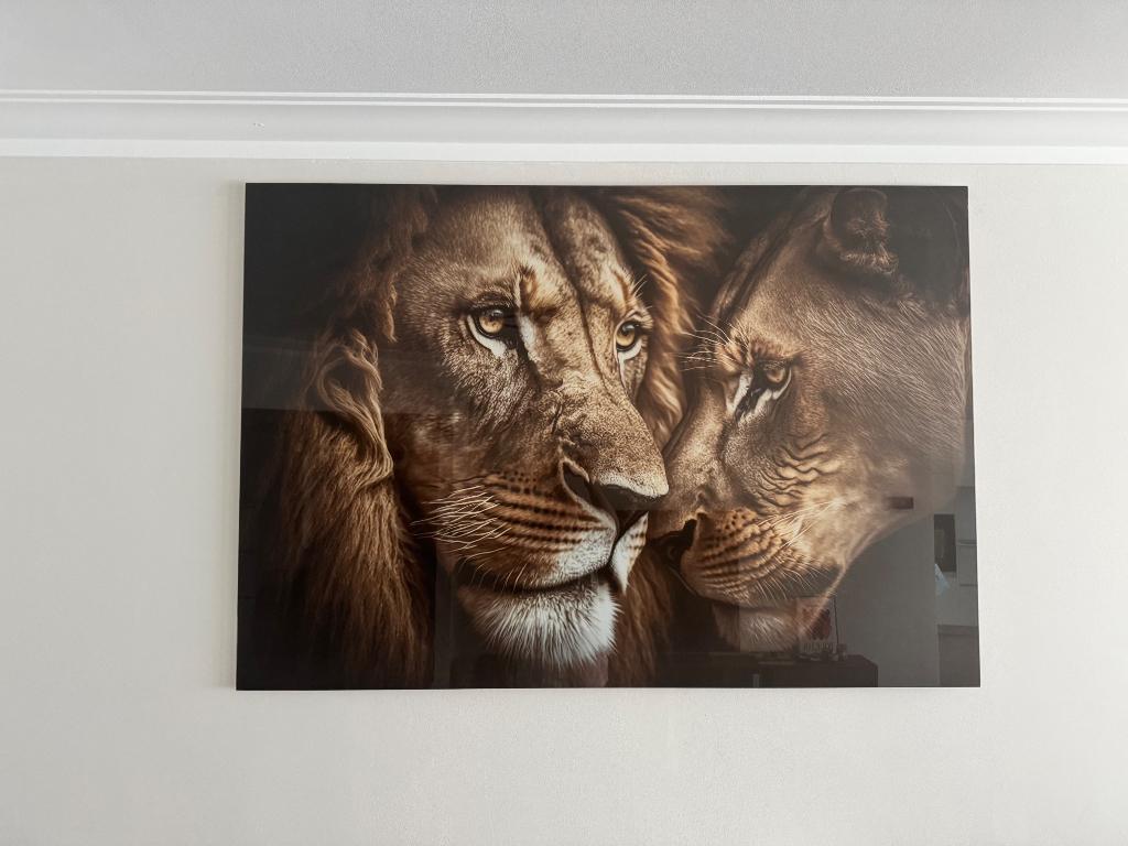 Plexiglas leeuw, Ophalen, Nieuw, 125 cm of meer, Print