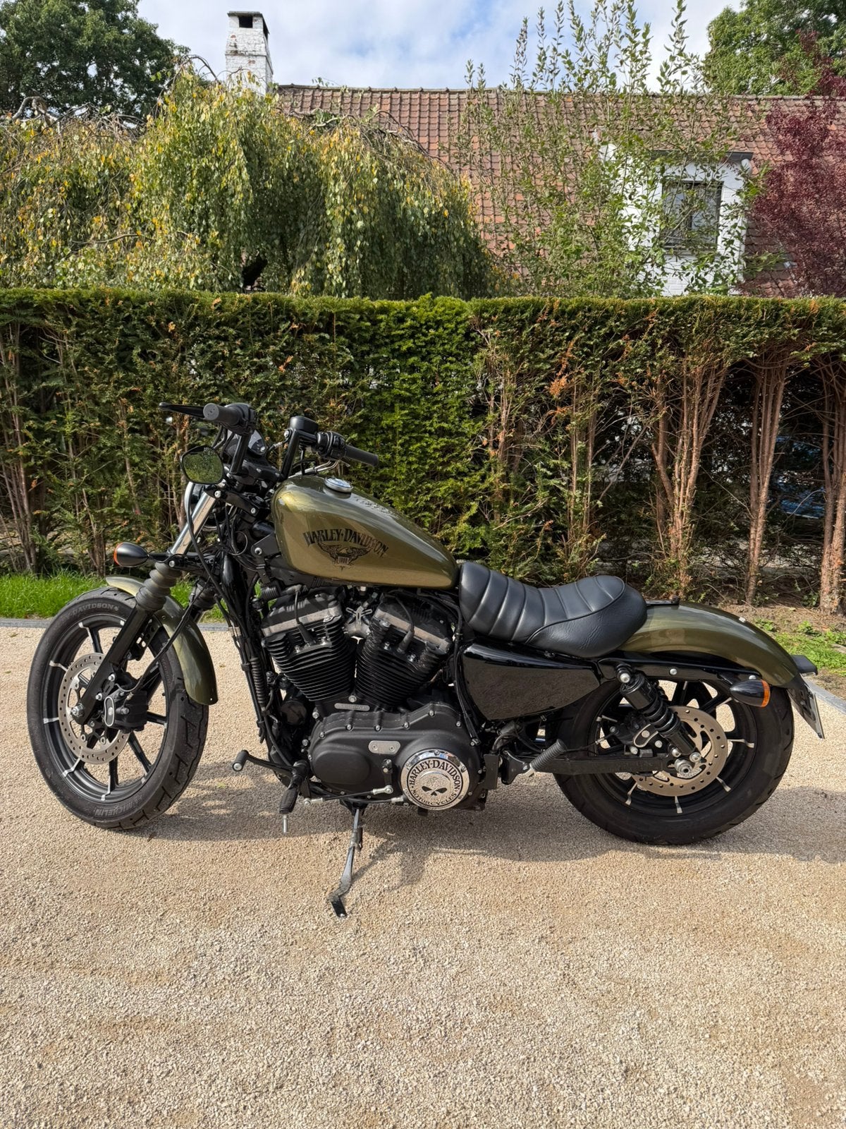 Harley Davidson Iron 883, Motos, Occasion, Plus de 35 kW, Chopper, Particulier