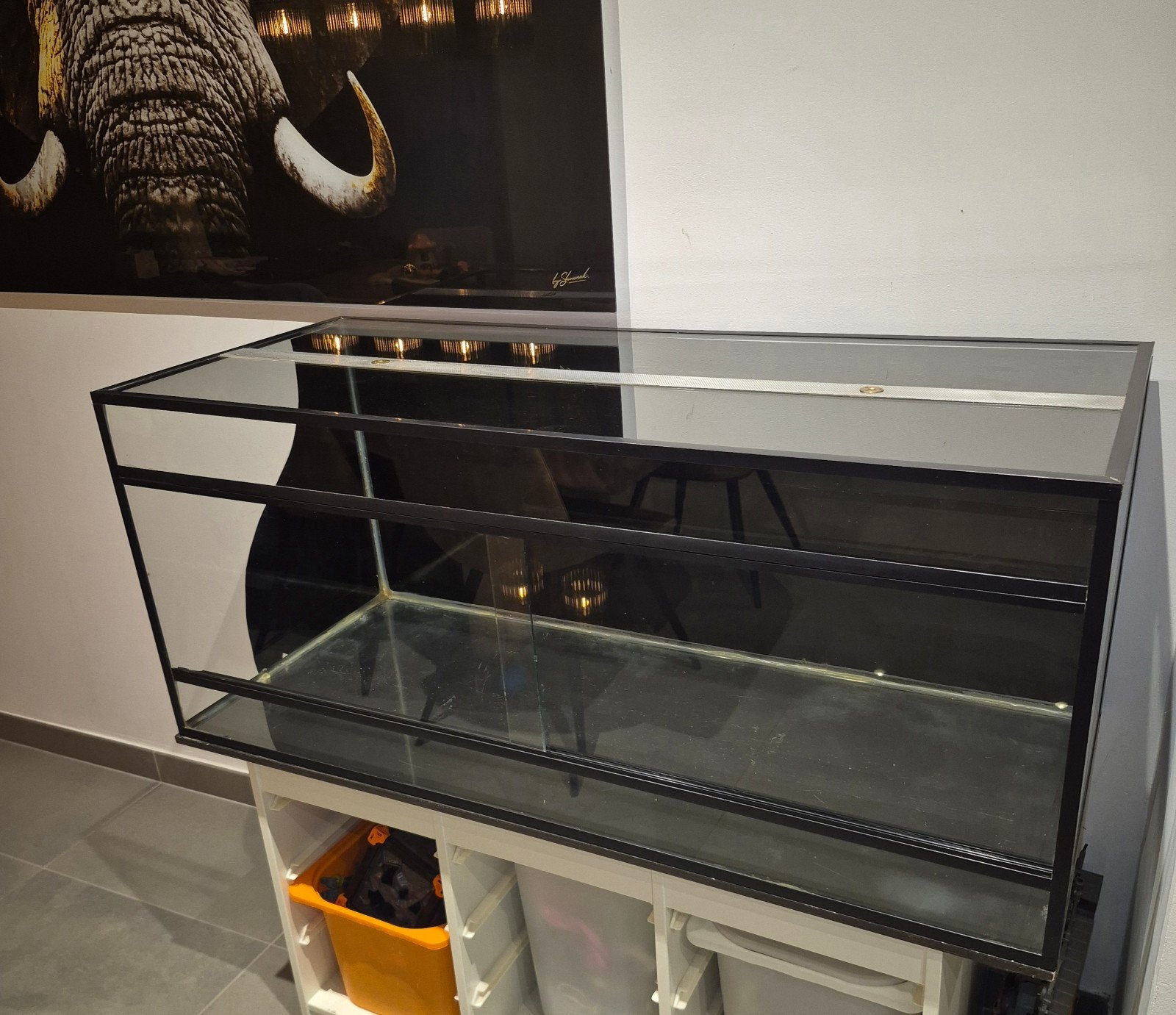 Terrarium 120 x 50 x 50, Dieren en Toebehoren, Ophalen