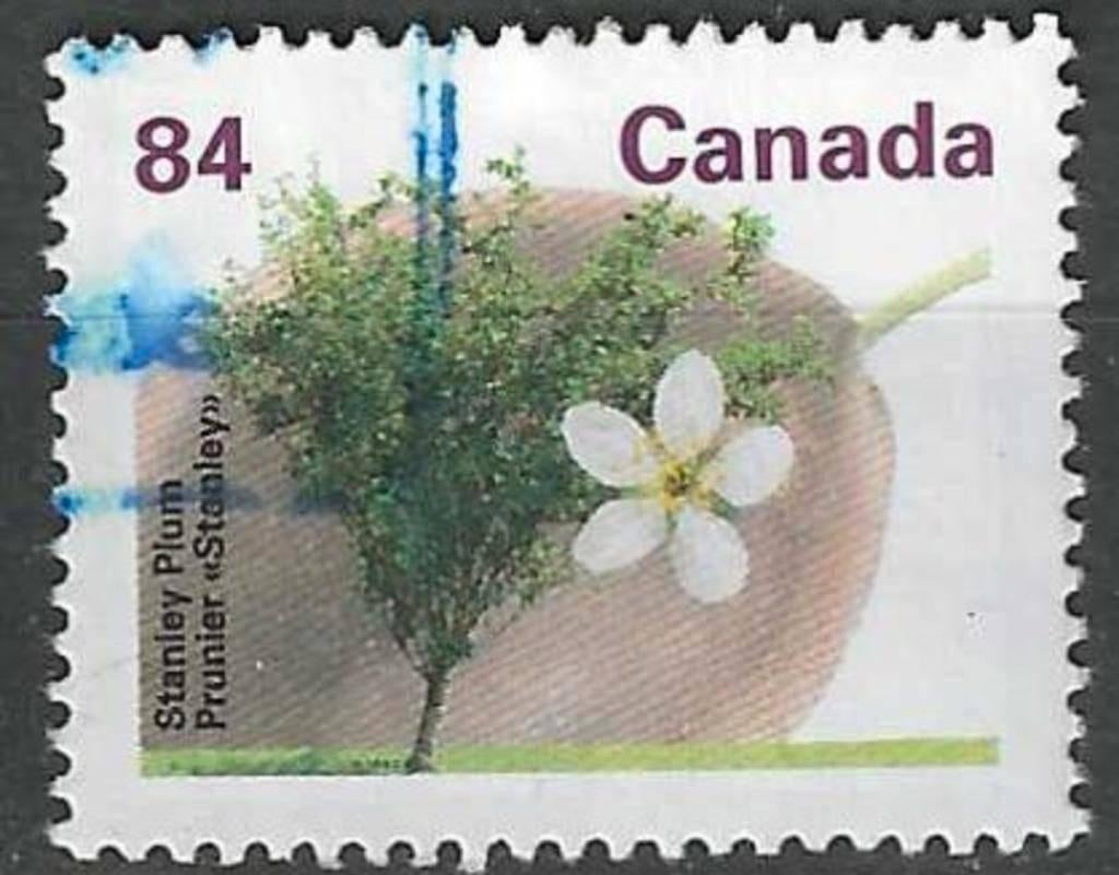 Canada 1991 - Yvert 1227 - Arbres fruitiers canadiens (ST), Envoi, Affranchi