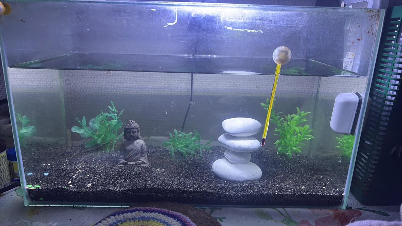 Aquarium 30-40 Liter, Ophalen, Overige merken, Zo goed als nieuw, Leeg aquarium