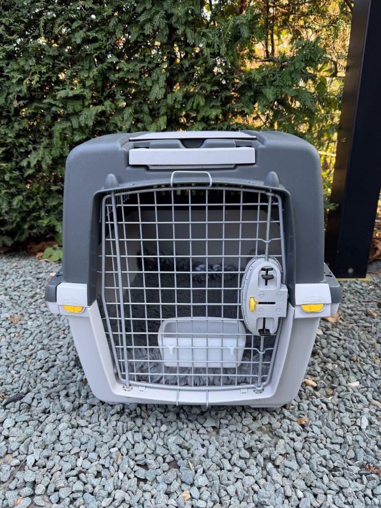Reisbenche 40€, Dieren en Toebehoren, Honden-accessoires, Ophalen
