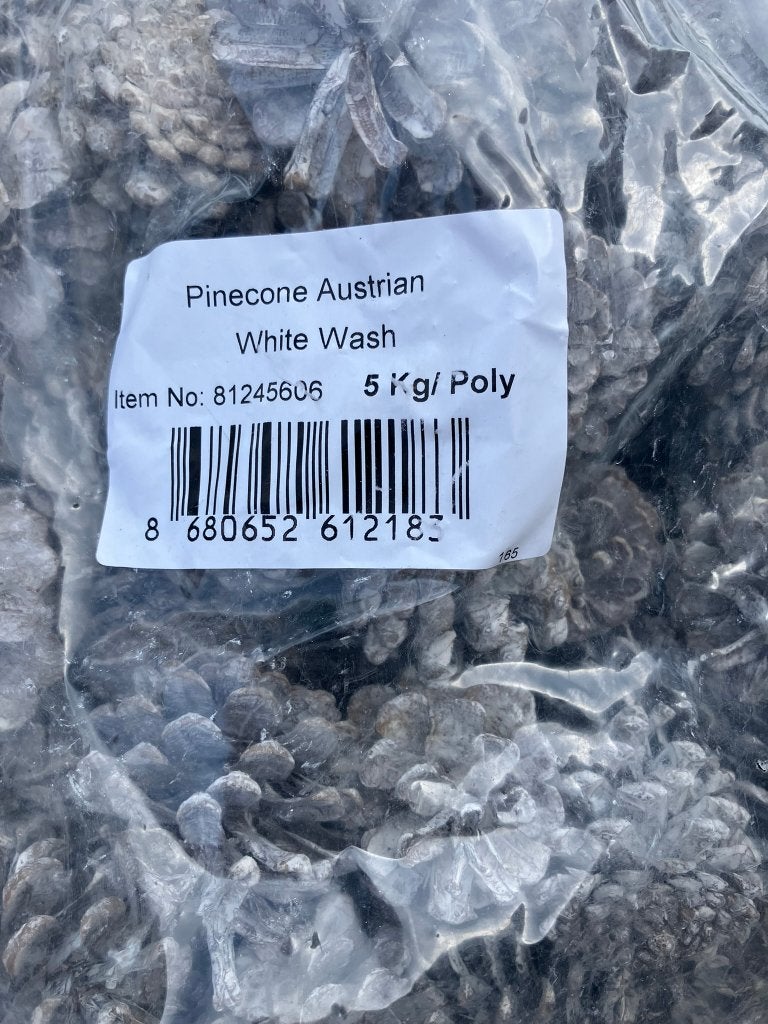 Partij Dennenappels Pine Cone Australian, Enlèvement, Neuf