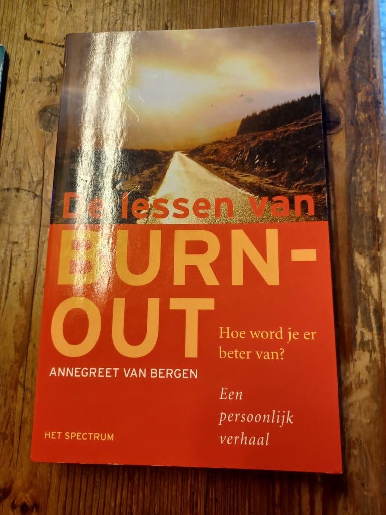A. van Bergen - De lessen van burn-out, Ophalen of Verzenden, A. van Bergen