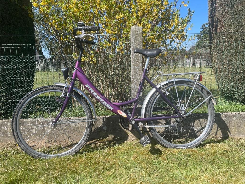Kindermeisjes fiets, Ophalen, Gebruikt, Velgrem, Versnellingen