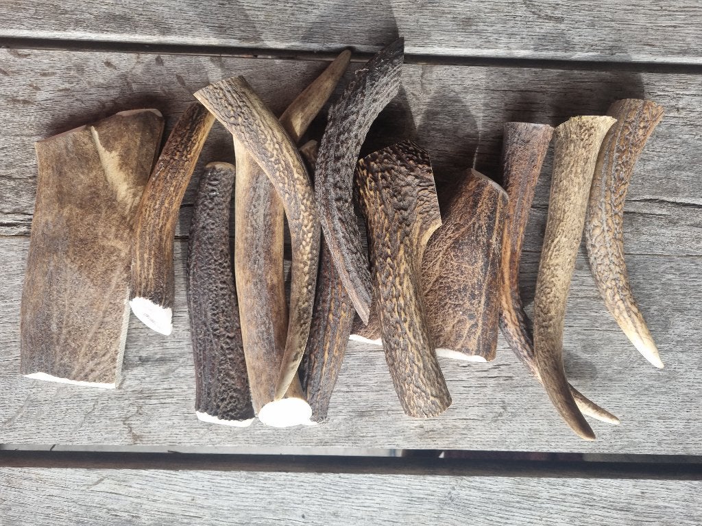 Kauwgeweien voor uw hond, Ophalen of Verzenden, Hondenspeelgoed
