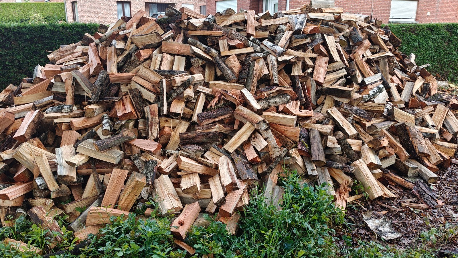Vers en droog brandhout te koop, zie omschrijving, Tuin en Terras, Brandhout, 6 m³ of meer, Ophalen of Verzenden, Overige houtsoorten