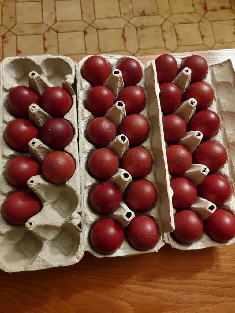 Broedeieren marans, Dieren en Toebehoren, Pluimvee