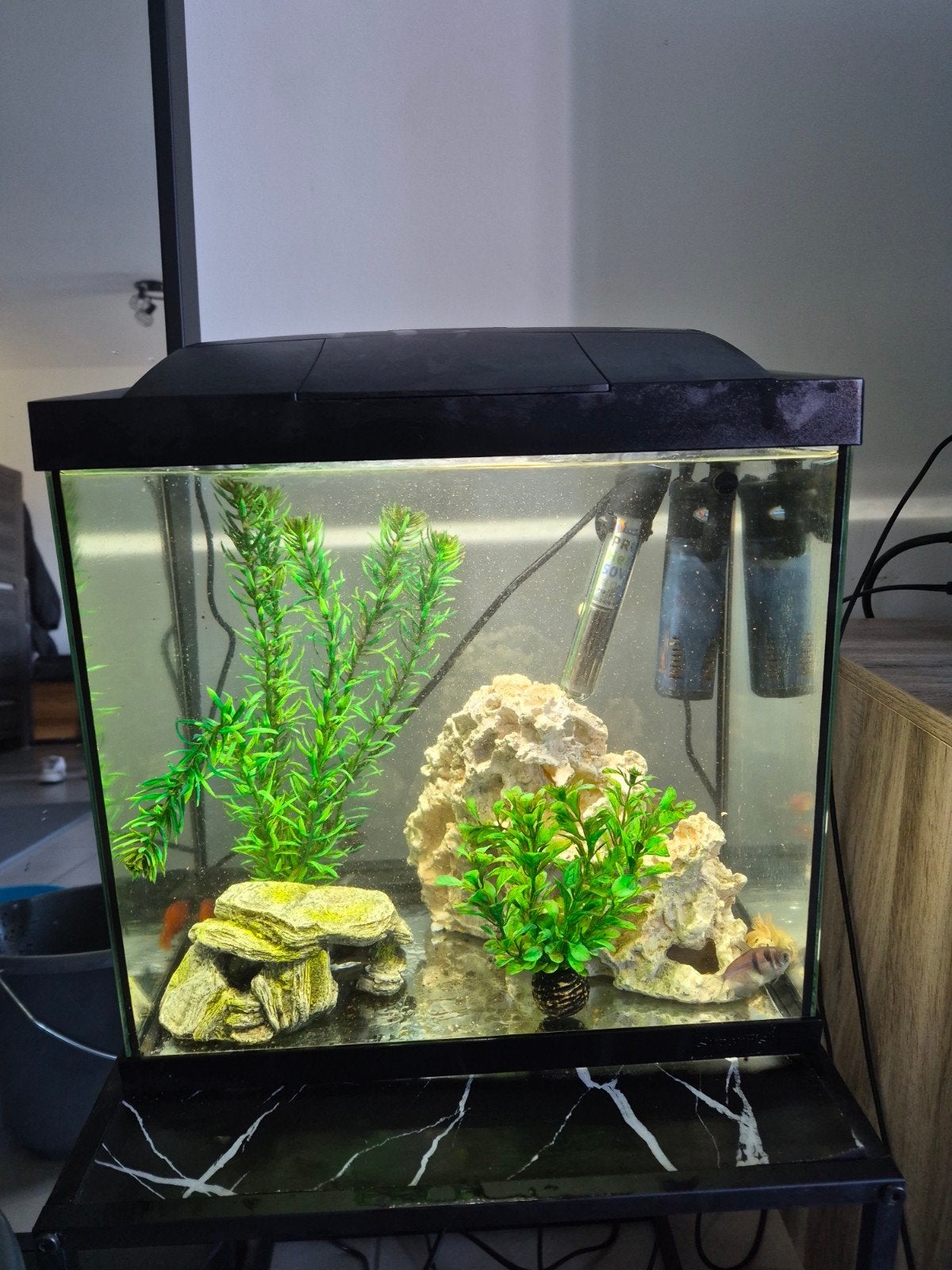 aquarium 25l met filter, deco,..., Superfish, Ophalen, Inclusief deksel, Gevuld zoetwateraquarium