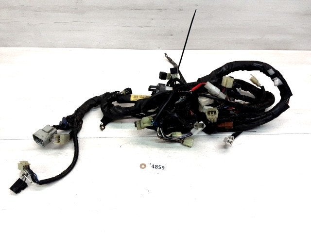 FJR1300 2006 - 2012 Yamaha Kabelboom D1-47454