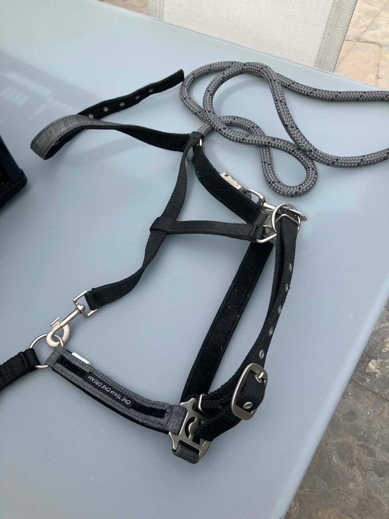 Halster paard met touw, Dieren en Toebehoren, Ophalen, Zo goed als nieuw, Recreatie, Halster