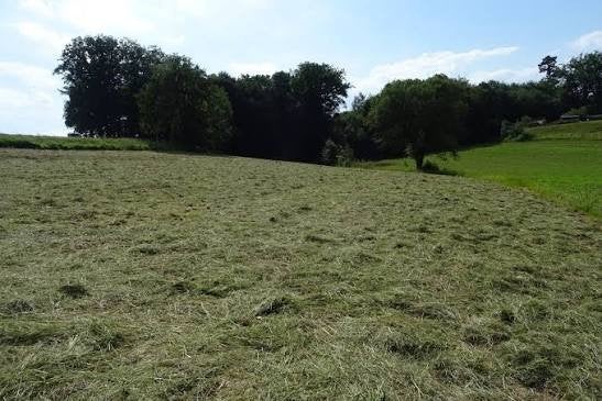 CHERCHE prairie à vendre, Pâturage, 2 ou 3 chevaux ou poneys