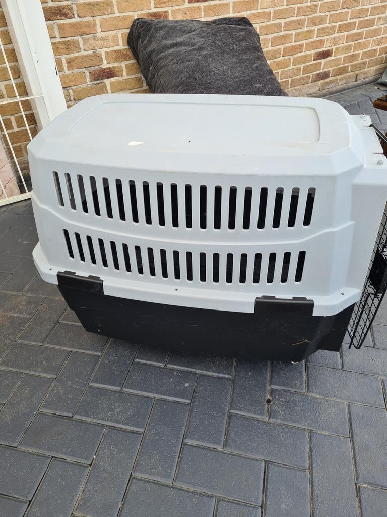 Grande caisse de voyage pour chien., Enlèvement