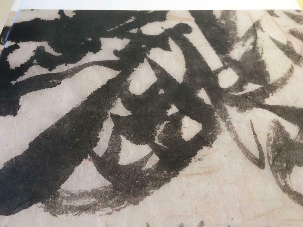 Christian Dotremont monografie Cobra 185 pag 230ill, Ophalen of Verzenden, Zo goed als nieuw, Schilder- en Tekenkunst