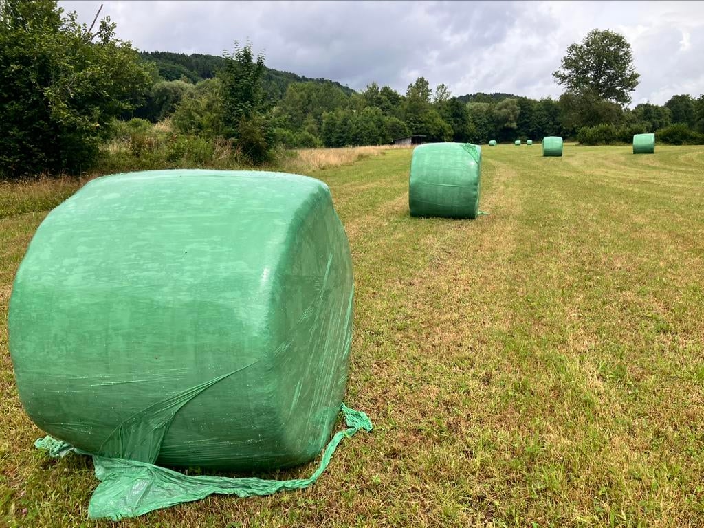 Foin chevaux bio enrubané 2025