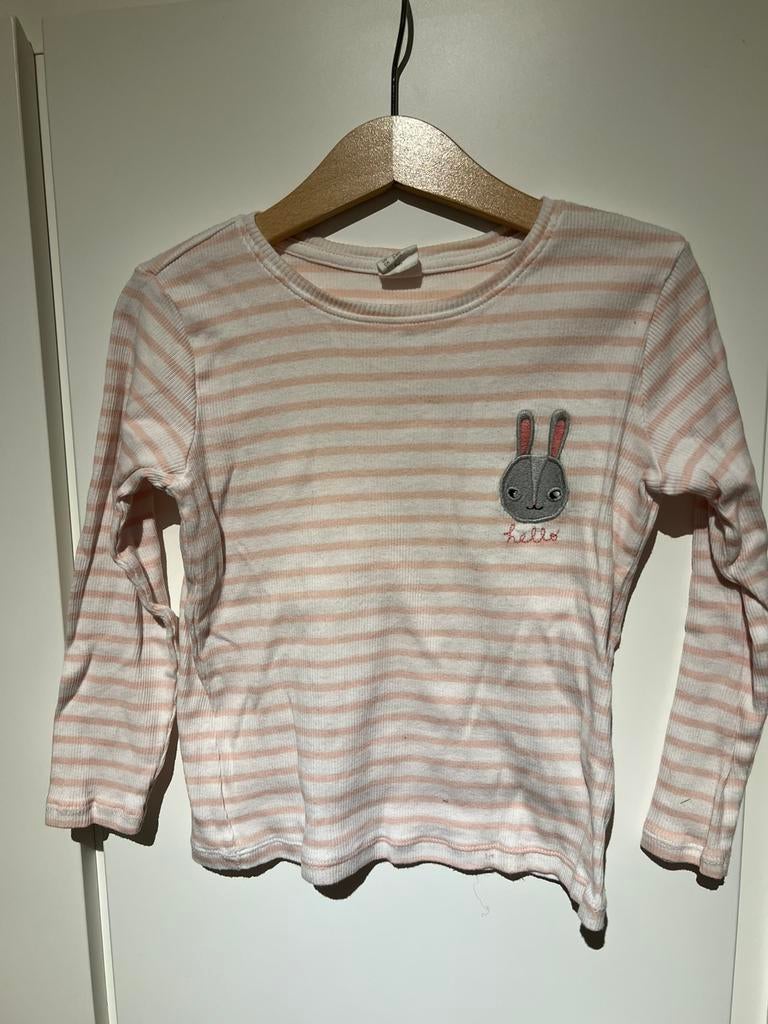 Longsleeve konijntje - maat 104, Kinderen en Baby's, Kinderkleding | Maat 104, Gebruikt, Meisje, H&M, Ophalen of Verzenden