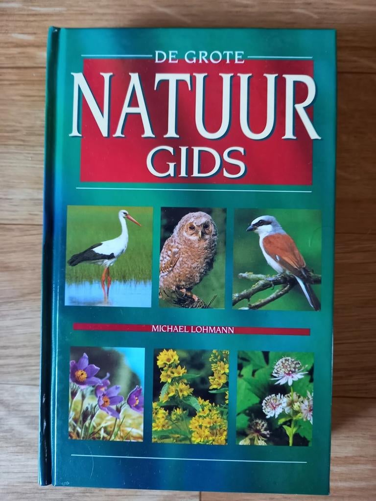 BEN JE AL 1 MET DE NATUUR ???, Livres, Nature, Enlèvement ou Envoi, Neuf, Oiseaux