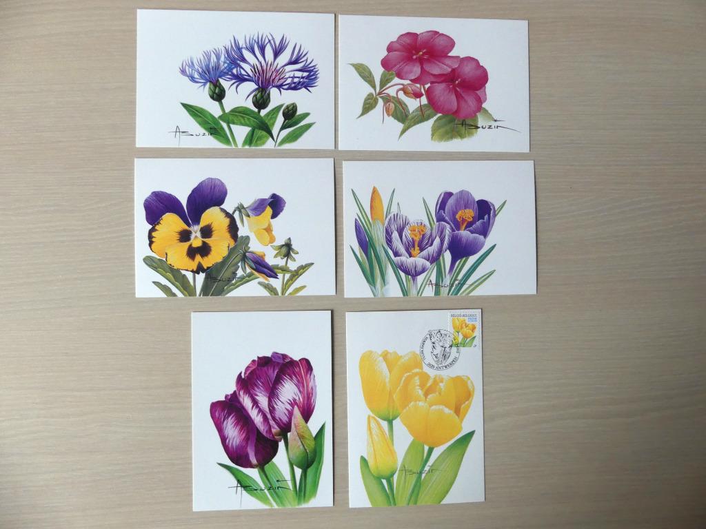6 CM  Buzin :  Fleurs, Enlèvement ou Envoi, Neuf