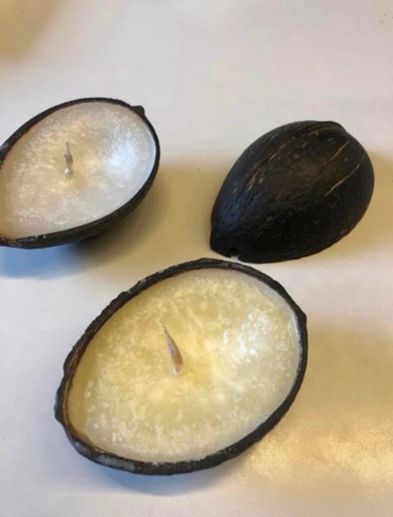 Summer vibes 20 kaarsen in halve kokosnoot🥥🌞, Ophalen, Nieuw