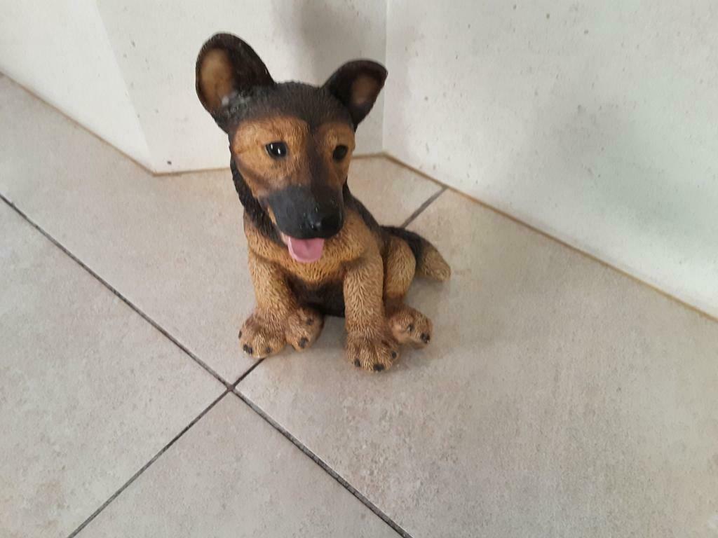 Beeldje hond, Ophalen, Zo goed als nieuw