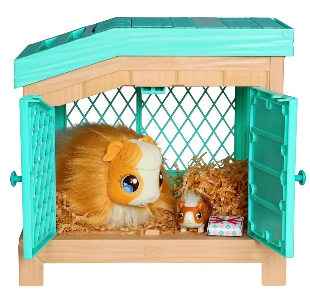 Cavia krijgt kleintjes, Kinderen en Baby's, Ophalen, Zo goed als nieuw
