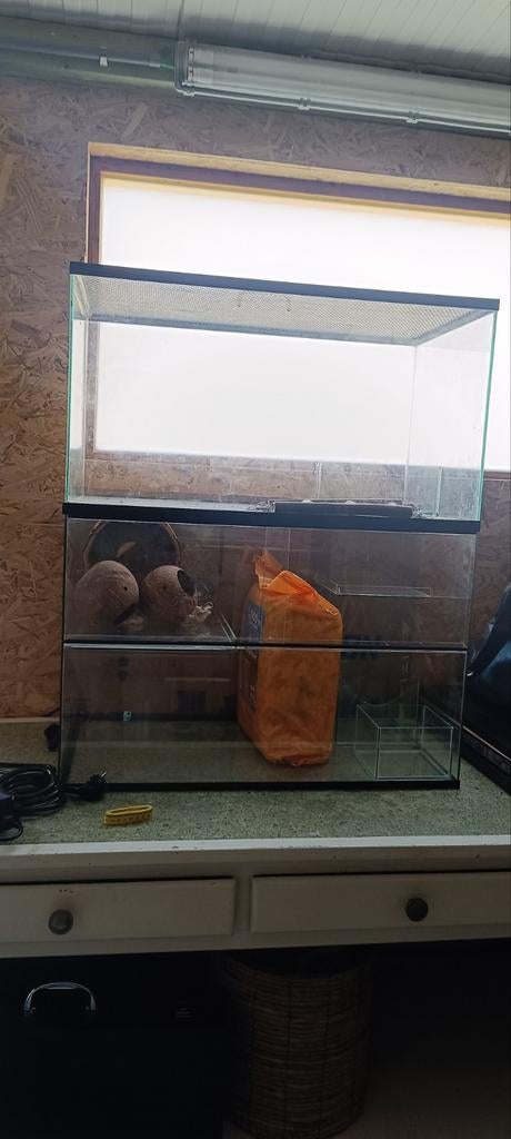 Gerbilarium voor gerbils, hamsters, muizen, Dieren en Toebehoren, Knaagdieren en Konijnen | Hokken en Kooien, Gebruikt, Kooi, 60 tot 90 cm