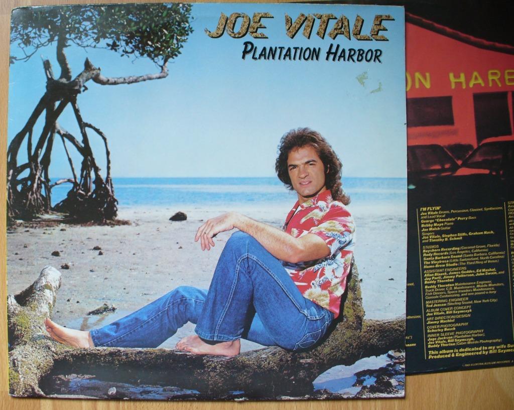 LP JOE VITALE - PLANTATION HARBOR - EAGLES - JOE WALSH, Cd's en Dvd's, Ophalen of Verzenden, Gebruikt, 12 inch